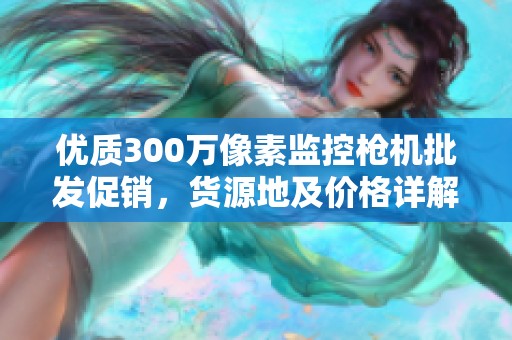 优质300万像素监控枪机批发促销，货源地及价格详解
