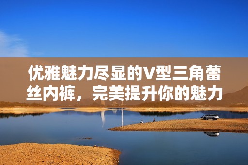 优雅魅力尽显的V型三角蕾丝内裤，完美提升你的魅力指数