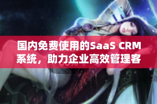 国内免费使用的SaaS CRM系统，助力企业高效管理客户关系
