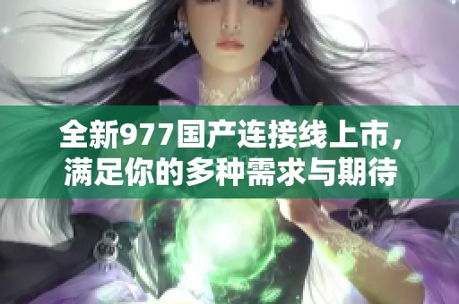 全新977国产连接线上市，满足你的多种需求与期待