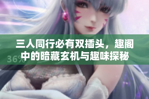 三人同行必有双插头，趣阁中的暗藏玄机与趣味探秘