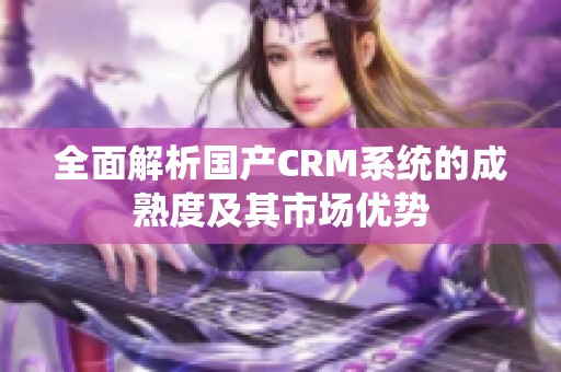 全面解析国产CRM系统的成熟度及其市场优势
