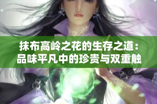 抹布高岭之花的生存之道：品味平凡中的珍贵与双重触感