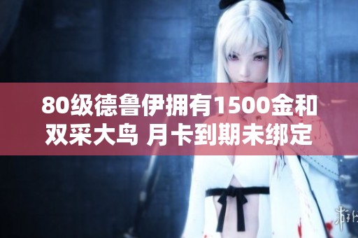 80级德鲁伊拥有1500金和双采大鸟 月卡到期未绑定邮箱求助