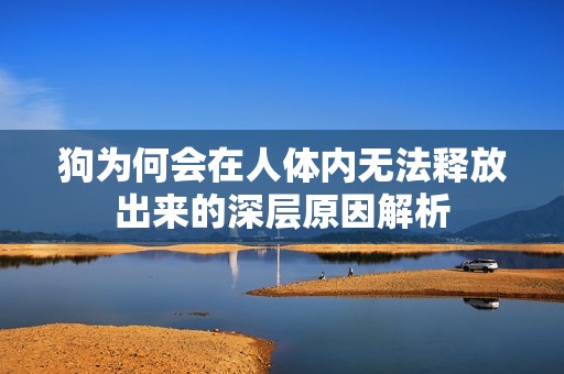 狗为何会在人体内无法释放出来的深层原因解析