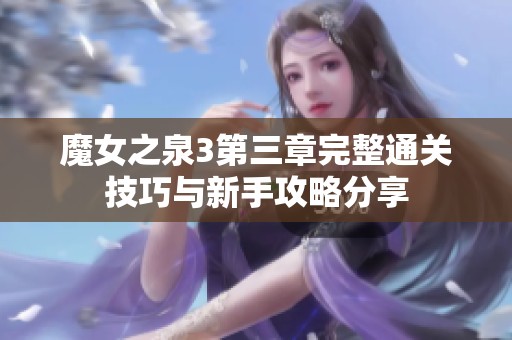 魔女之泉3第三章完整通关技巧与新手攻略分享