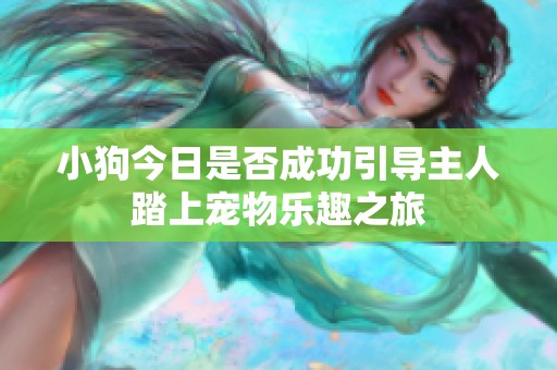 小狗今日是否成功引导主人踏上宠物乐趣之旅