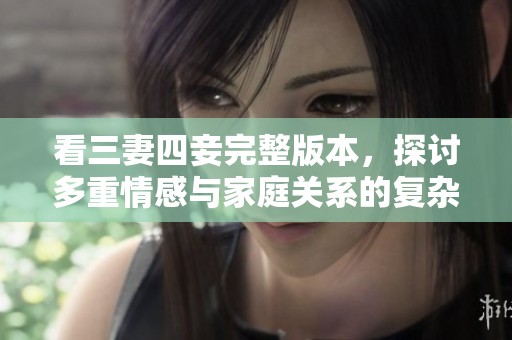 看三妻四妾完整版本，探讨多重情感与家庭关系的复杂性