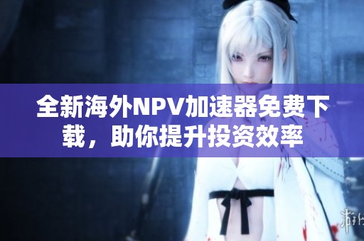 全新海外NPV加速器免费下载，助你提升投资效率