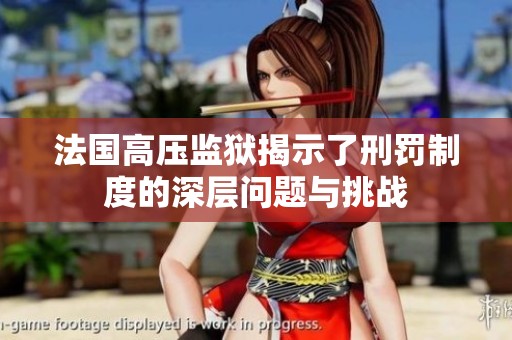 法国高压监狱揭示了刑罚制度的深层问题与挑战