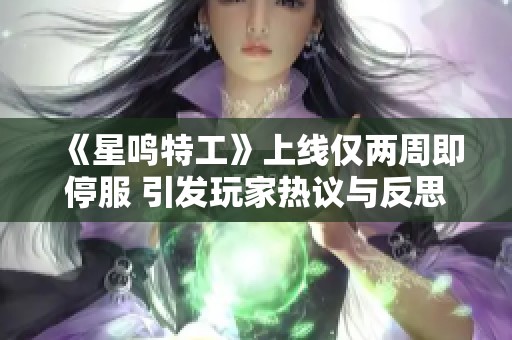 《星鸣特工》上线仅两周即停服 引发玩家热议与反思