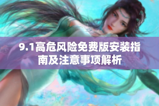 9.1高危风险免费版安装指南及注意事项解析