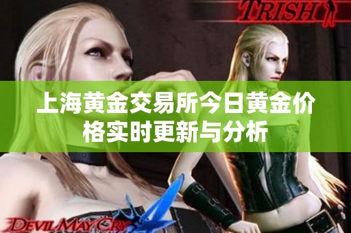 上海黄金交易所今日黄金价格实时更新与分析