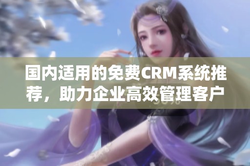 国内适用的免费CRM系统推荐，助力企业高效管理客户关系