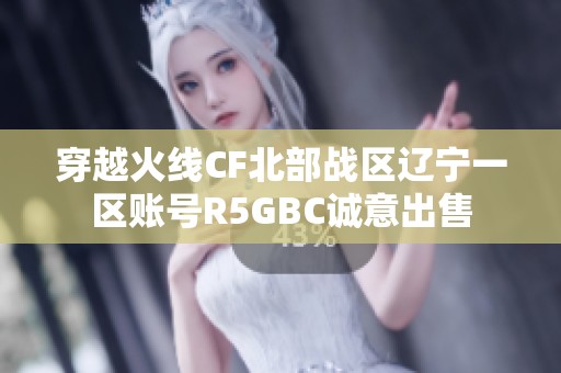穿越火线CF北部战区辽宁一区账号R5GBC诚意出售