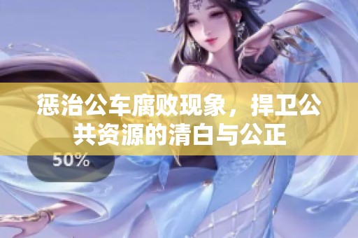 惩治公车腐败现象，捍卫公共资源的清白与公正