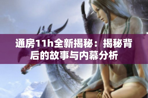 通房11h全新揭秘：揭秘背后的故事与内幕分析