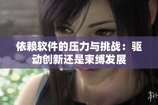 依赖软件的压力与挑战：驱动创新还是束缚发展