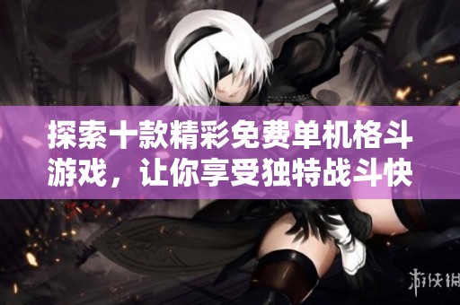 探索十款精彩免费单机格斗游戏，让你享受独特战斗快感