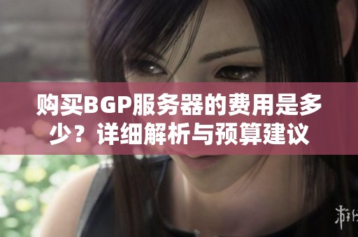 购买BGP服务器的费用是多少？详细解析与预算建议