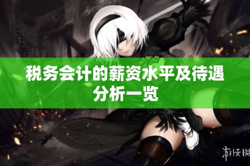 税务会计的薪资水平及待遇分析一览