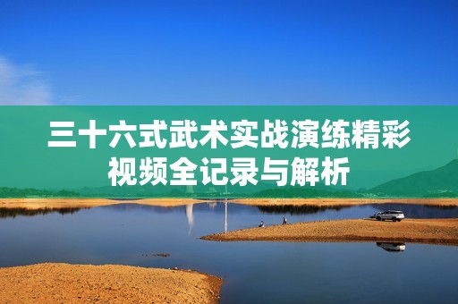 三十六式武术实战演练精彩视频全记录与解析