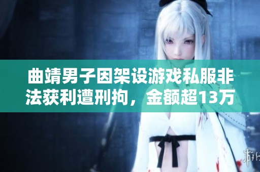 曲靖男子因架设游戏私服非法获利遭刑拘，金额超13万