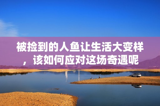 被捡到的人鱼让生活大变样，该如何应对这场奇遇呢
