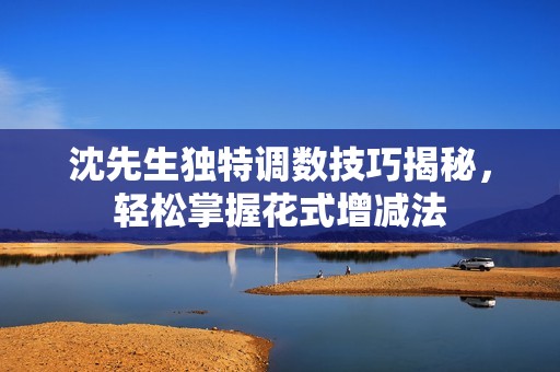 沈先生独特调数技巧揭秘，轻松掌握花式增减法