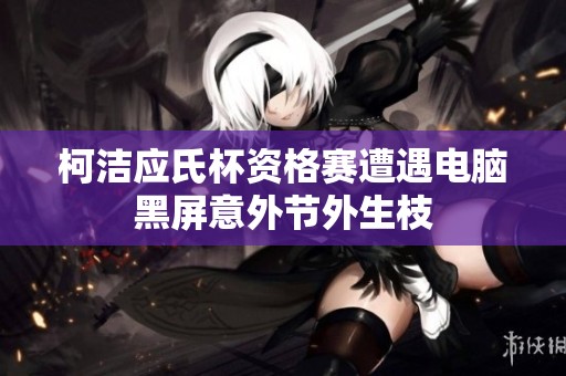 柯洁应氏杯资格赛遭遇电脑黑屏意外节外生枝
