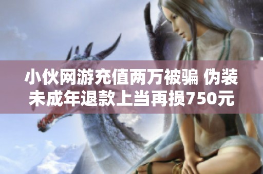 小伙网游充值两万被骗 伪装未成年退款上当再损750元