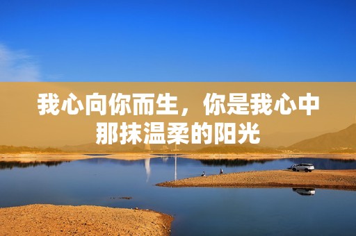 我心向你而生，你是我心中那抹温柔的阳光