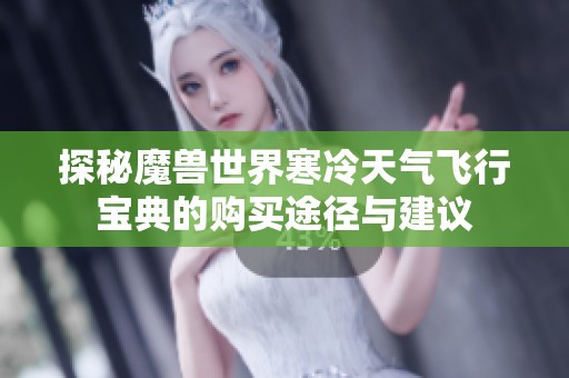 探秘魔兽世界寒冷天气飞行宝典的购买途径与建议