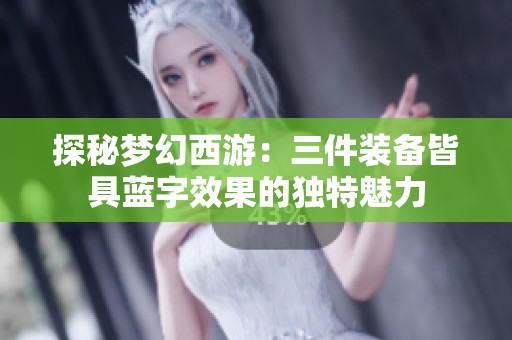 探秘梦幻西游：三件装备皆具蓝字效果的独特魅力
