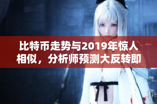 比特币走势与2019年惊人相似，分析师预测大反转即将来临