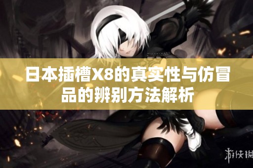 日本插槽X8的真实性与仿冒品的辨别方法解析