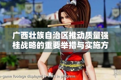 广西壮族自治区推动质量强桂战略的重要举措与实施方案解读