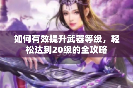 如何有效提升武器等级，轻松达到20级的全攻略