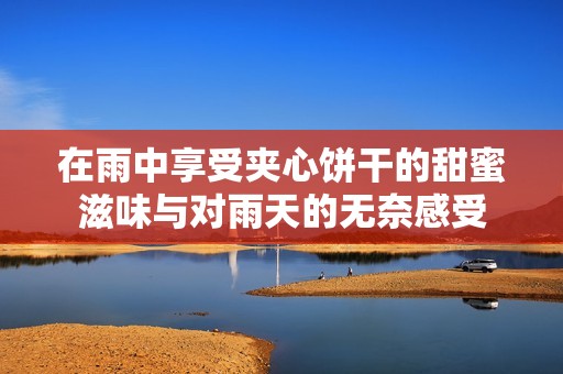 在雨中享受夹心饼干的甜蜜滋味与对雨天的无奈感受