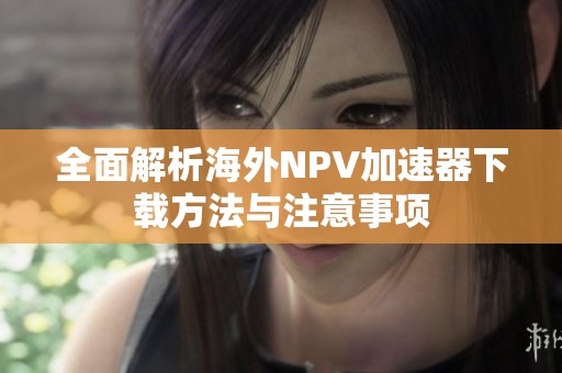 全面解析海外NPV加速器下载方法与注意事项