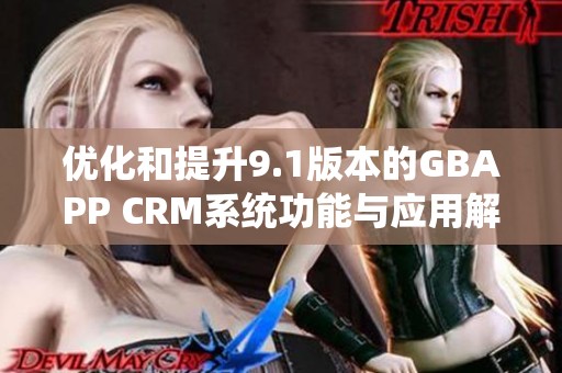 优化和提升9.1版本的GBAPP CRM系统功能与应用解析