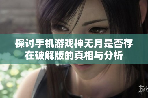 探讨手机游戏神无月是否存在破解版的真相与分析