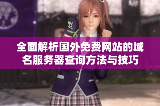 全面解析国外免费网站的域名服务器查询方法与技巧