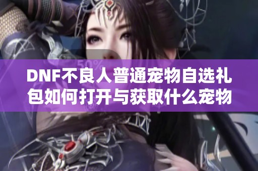 DNF不良人普通宠物自选礼包如何打开与获取什么宠物奖励