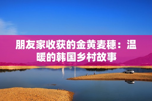 朋友家收获的金黄麦穗：温暖的韩国乡村故事