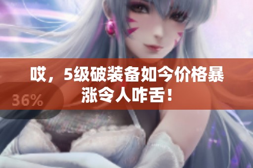 哎，5级破装备如今价格暴涨令人咋舌！