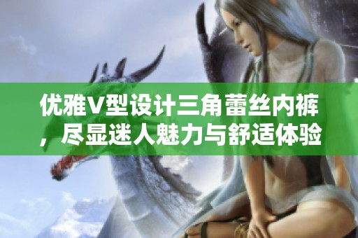 优雅V型设计三角蕾丝内裤，尽显迷人魅力与舒适体验