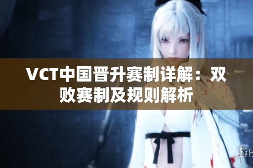 VCT中国晋升赛制详解：双败赛制及规则解析