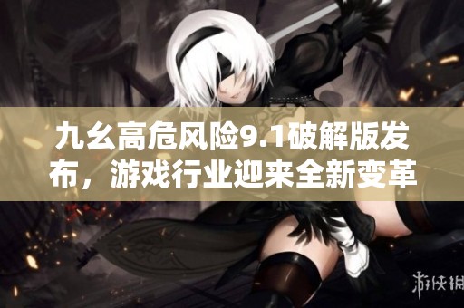 九幺高危风险9.1破解版发布，游戏行业迎来全新变革浪潮