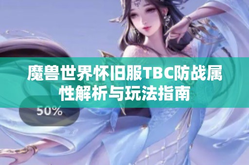 魔兽世界怀旧服TBC防战属性解析与玩法指南